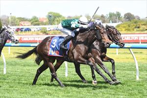 Treasurethe Moment, Caulfield 16 October 2024